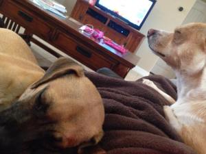 10847864_10203330891377462_395064128475750952_n