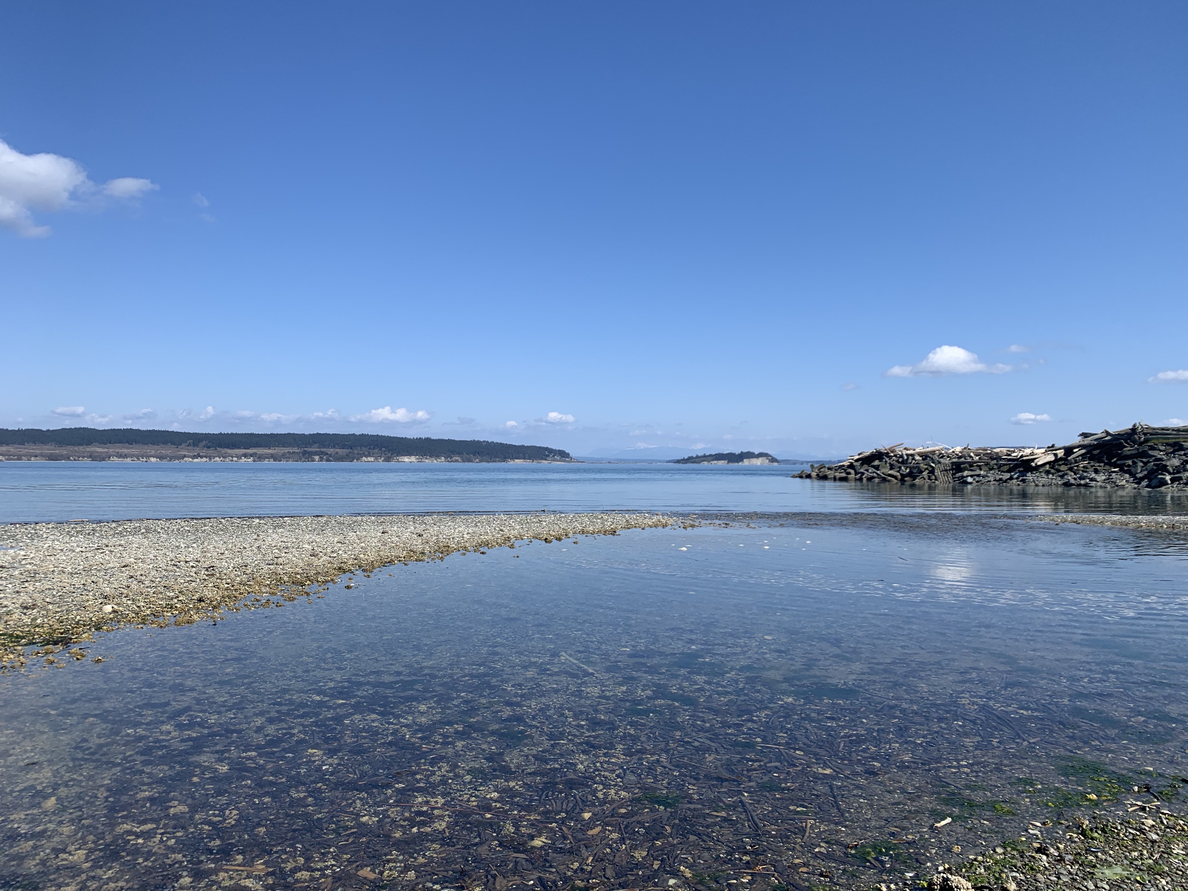 pmgudo2xTTmz2vElQEFsAg